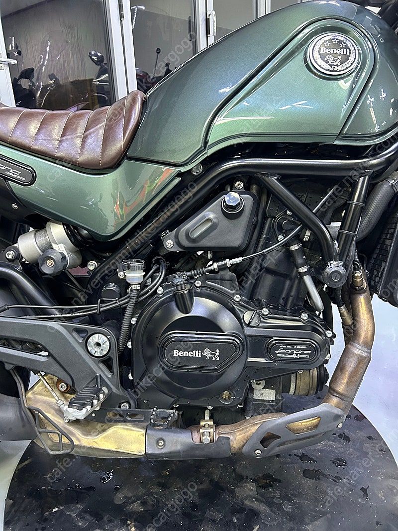 베넬리 레온치노 500 more