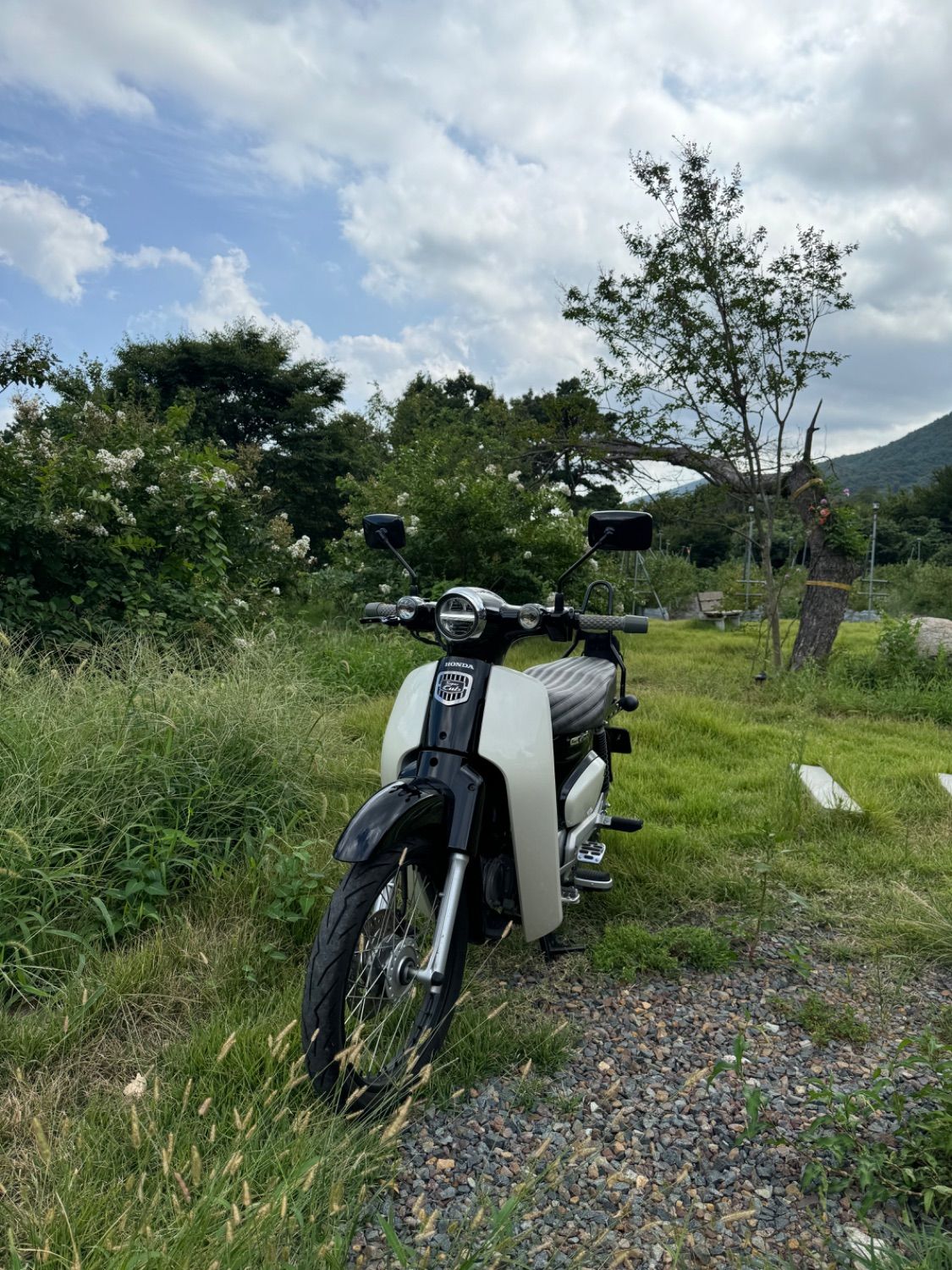 혼다 C 110 thumb 2