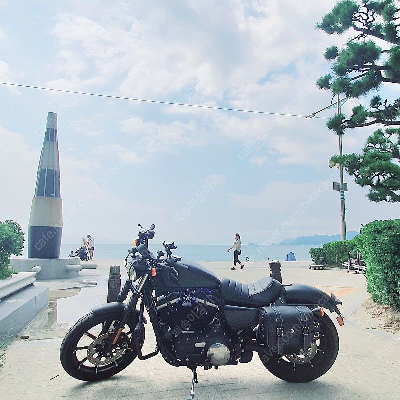 할리데이비슨 아이언 883 2019 블랙 사진 1