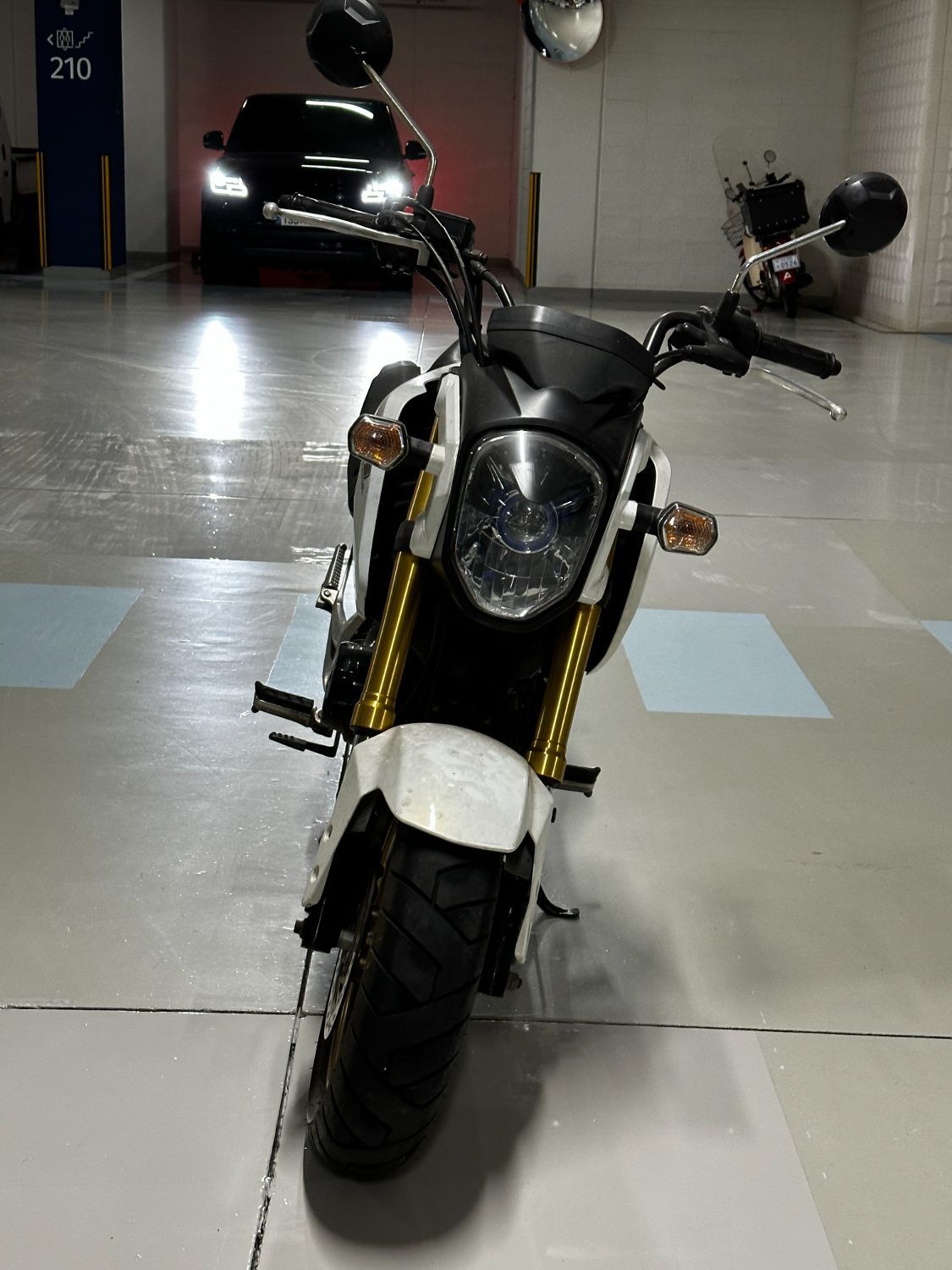 혼다 MSX 125 thumb 2