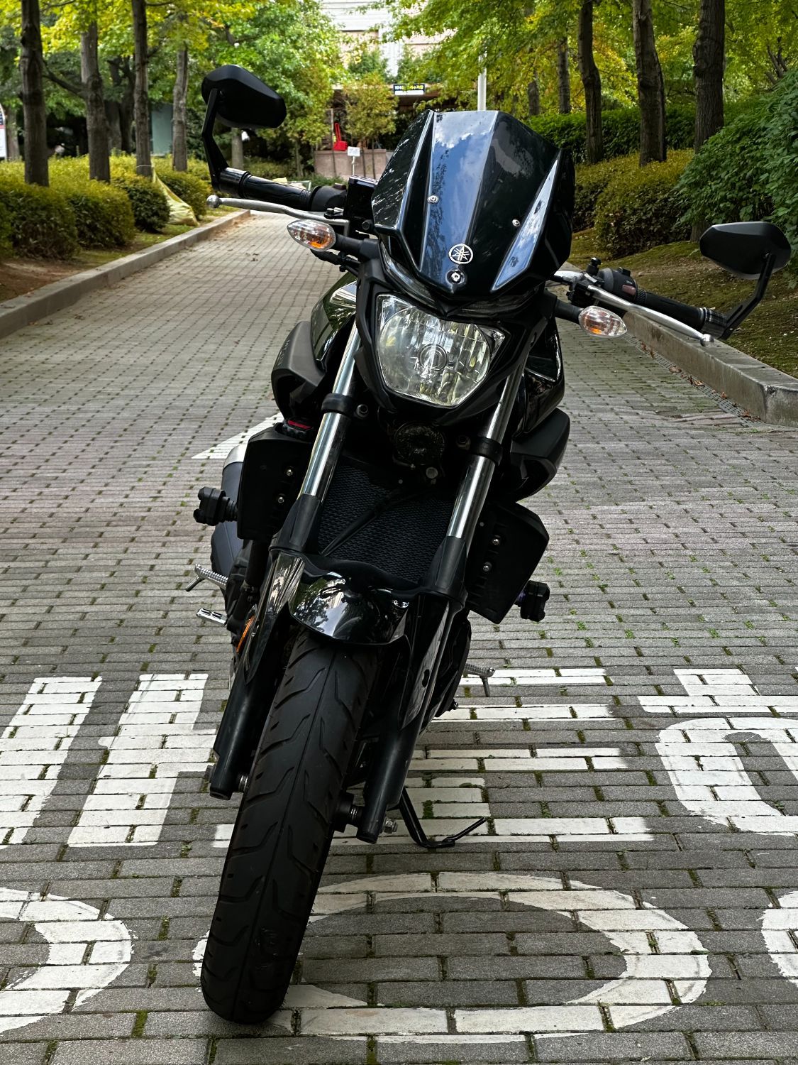 야마하 MT 03 thumb 2