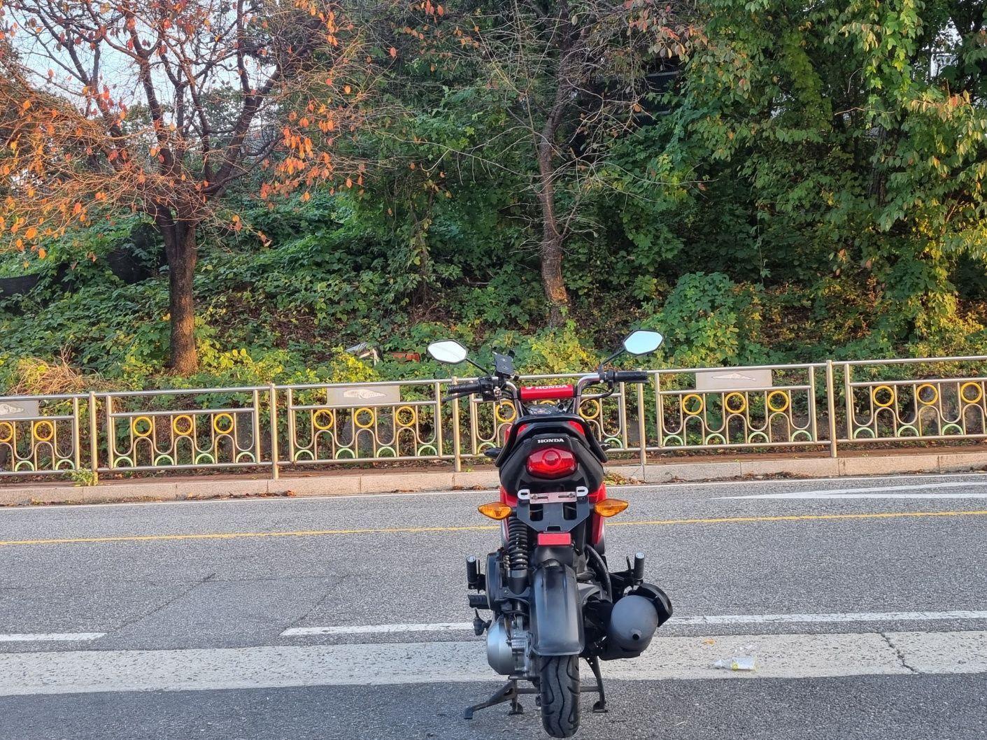 혼다 나비 110 more