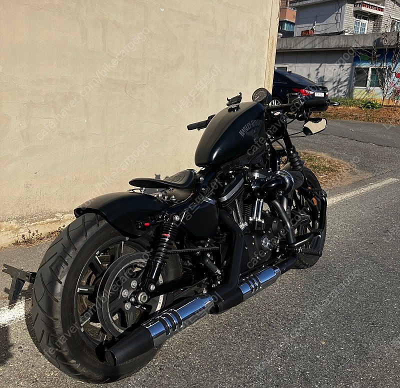 할리데이비슨 아이언 883 more