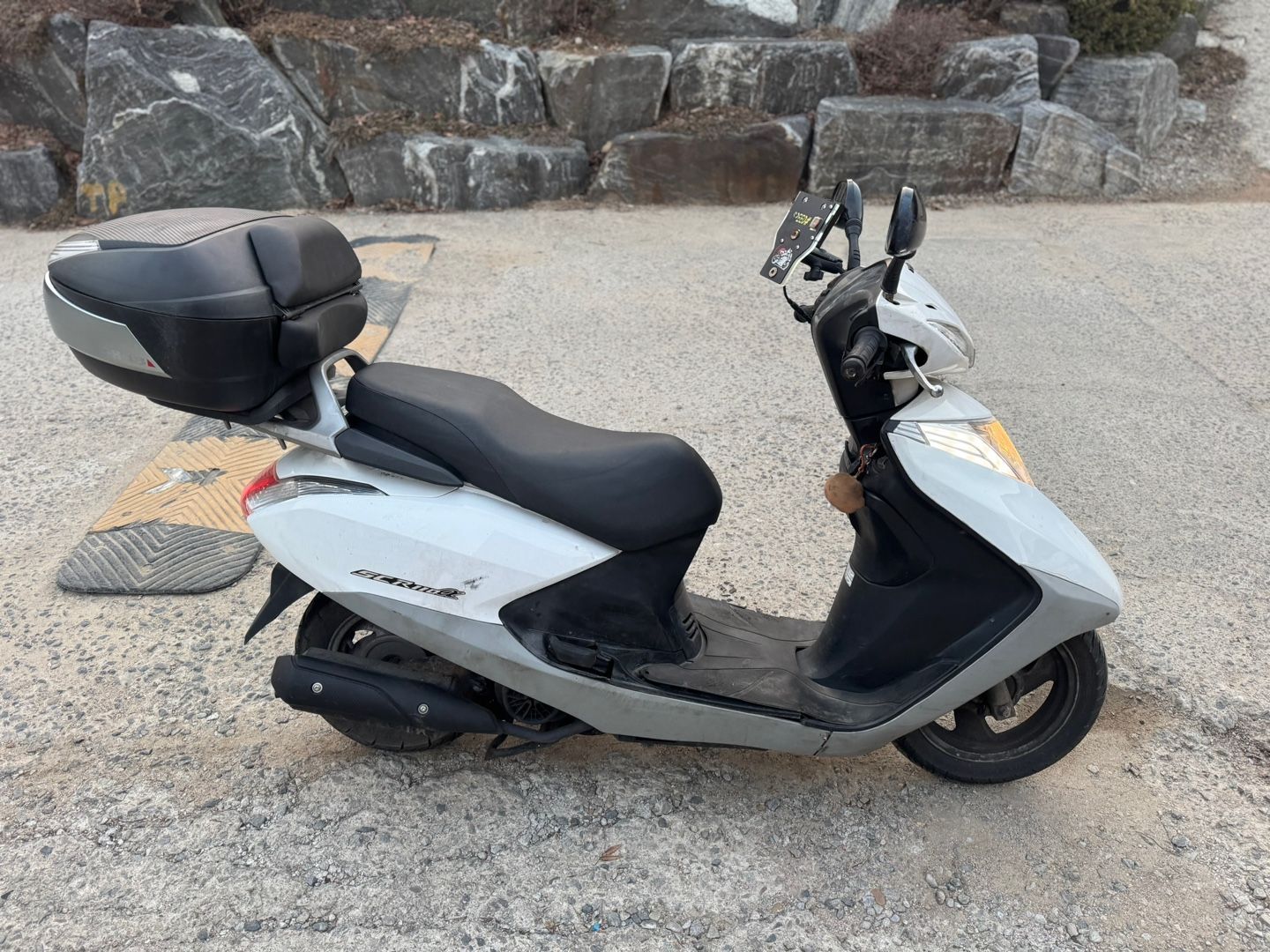 혼다 SCR 110 α main