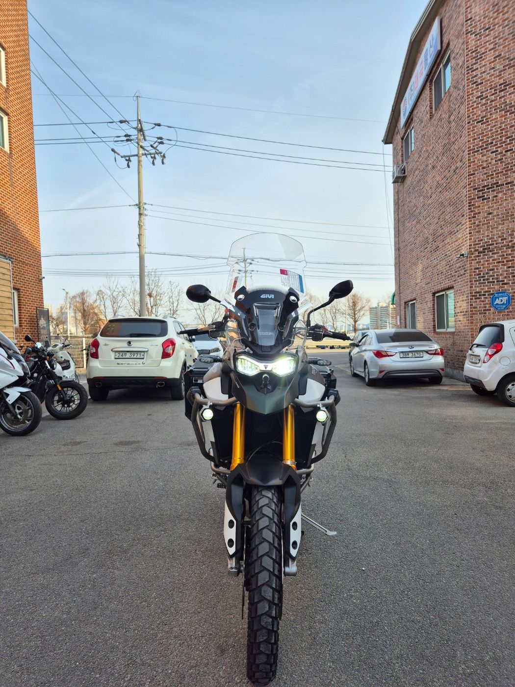 트라이엄프 타이거 900 랠리 프로 thumb 2