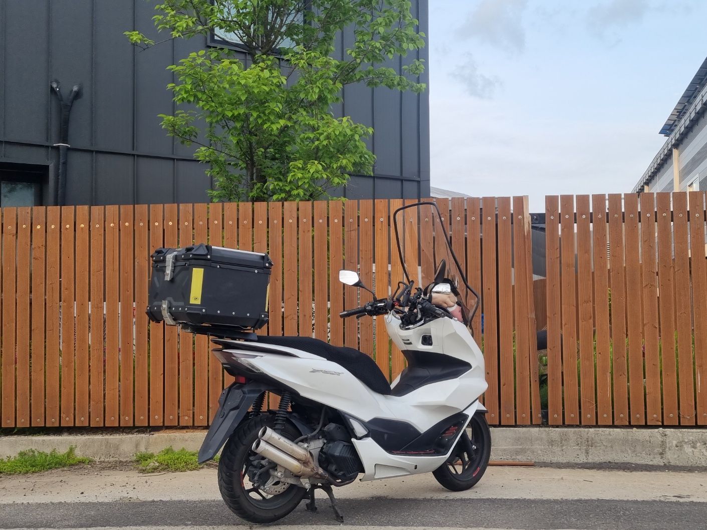 혼다 PCX 125 more