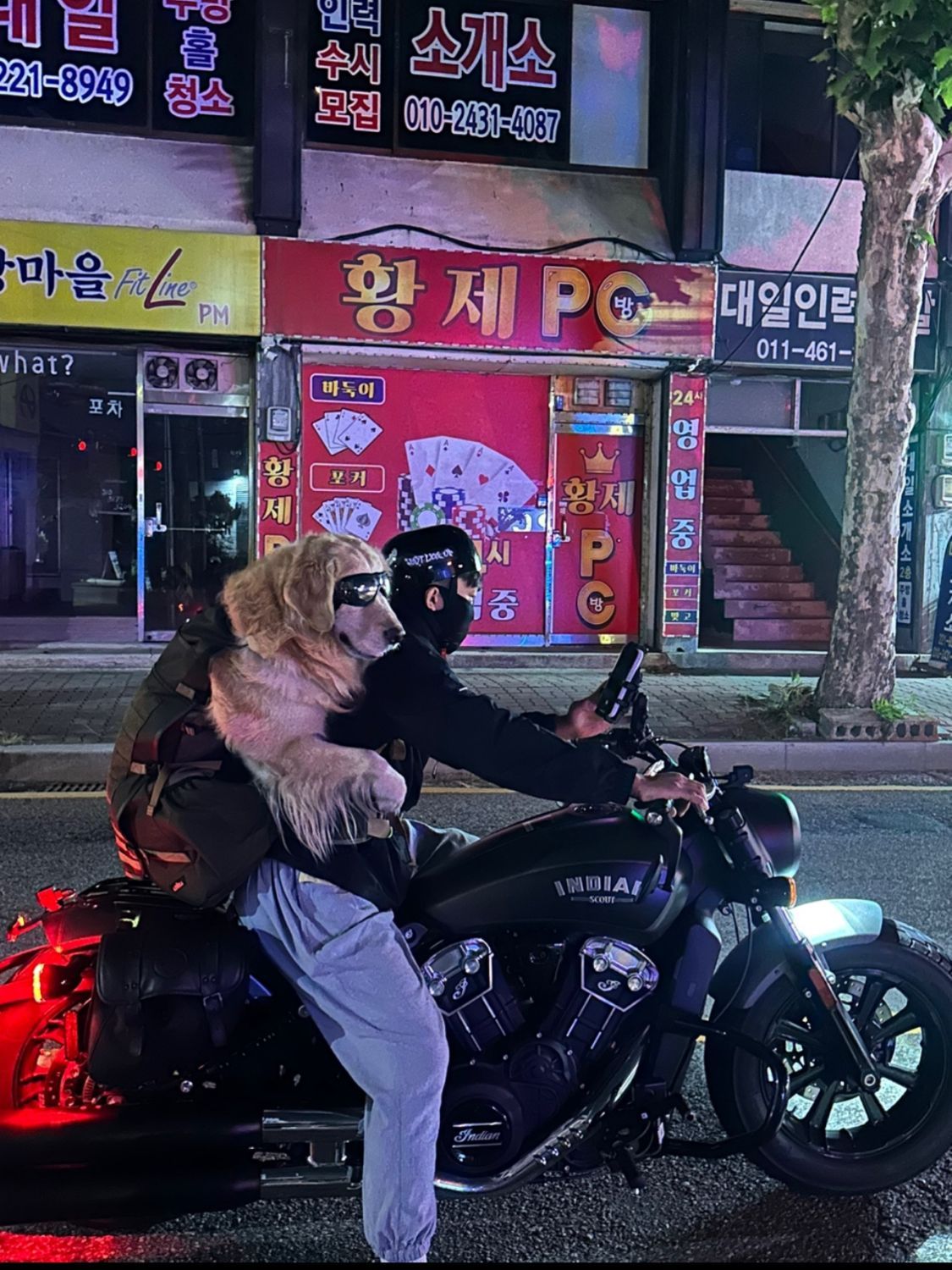 인디언모터사이클 스카우트 바버 2021 블랙