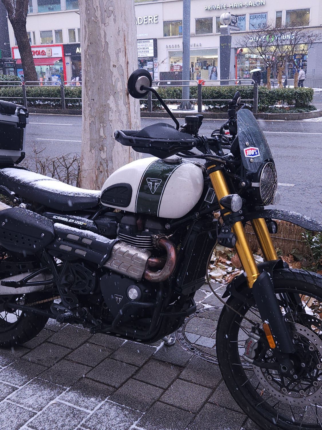 트라이엄프 스크램블러 1200 XE 2020 사진 3