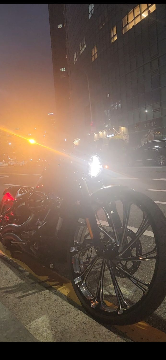 할리데이비슨 브레이크아웃 2022 베이지 사진 7