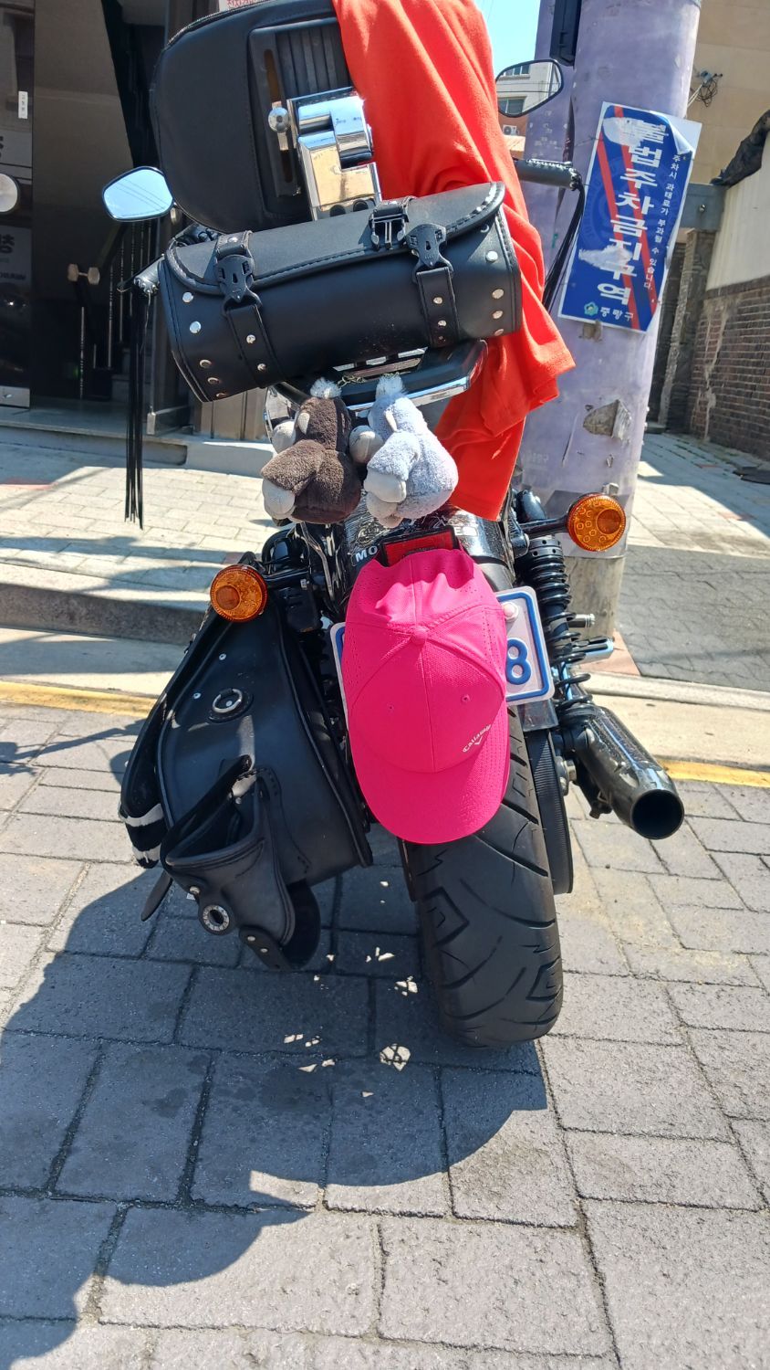 할리데이비슨 포티에잇 2015 레드 사진 1