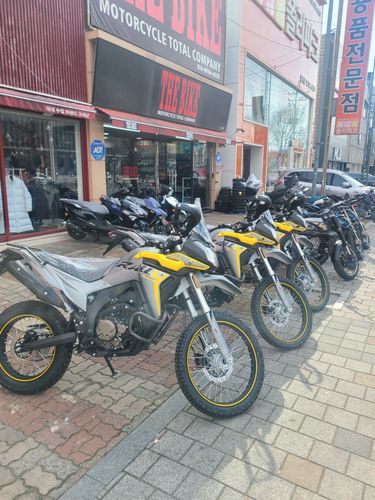 보그 300 랠리 2024년식