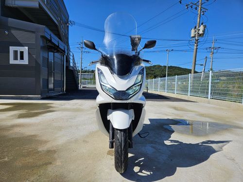 혼다 PCX 125 2024년식