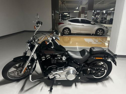 할리데이비슨 소프테일 스탠다드 2024년식